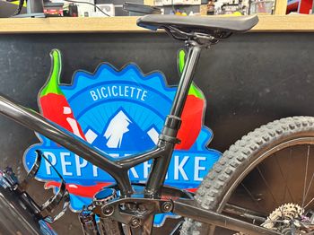 Used Trek Fuel EXe 9.8 XT 2024 2024 Mountainbike, Black, 29 — image 25 of 30