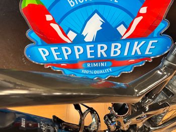 Used Trek Fuel EXe 9.8 XT 2024 2024 Mountainbike, Black, 29 — image 28 of 30