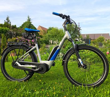 Used Kettler Kettler Custom 2021 Urbain & Touring