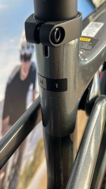 Used Giant Anthem Advanced SL 1 2026 2026 Mountainbike, Light Gray, 29 — image 6 of 10
