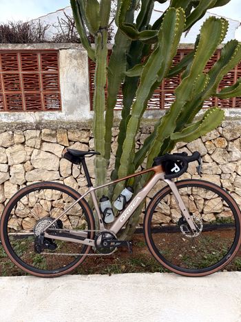 Used Orbea TERRA M31eTEAM 1X 2026 2026 Road & Gravel, White — image 5 of 6