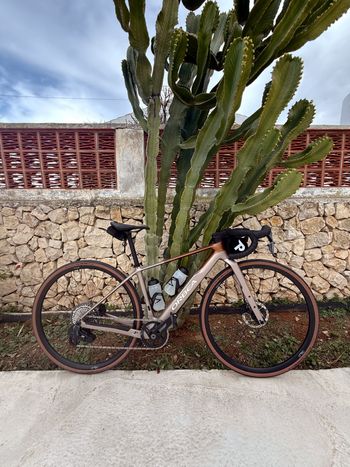 Used Orbea TERRA M31eTEAM 1X 2026 2026 Road & Gravel, White — image 6 of 6