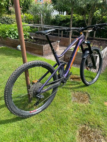 Used Lapierre Spicy CF 7.9 2023 2023 Mountainbike, Purple — image 3 of 5