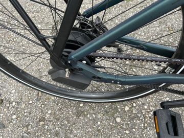Used Rose Mayor Plus 3 MidStep 2024 2024 Urban, Green — image 2 of 24