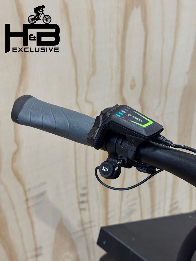 Used Riese & Müller Load4 75 Vario Enviolo 2024 Urban — image 9 of 17
