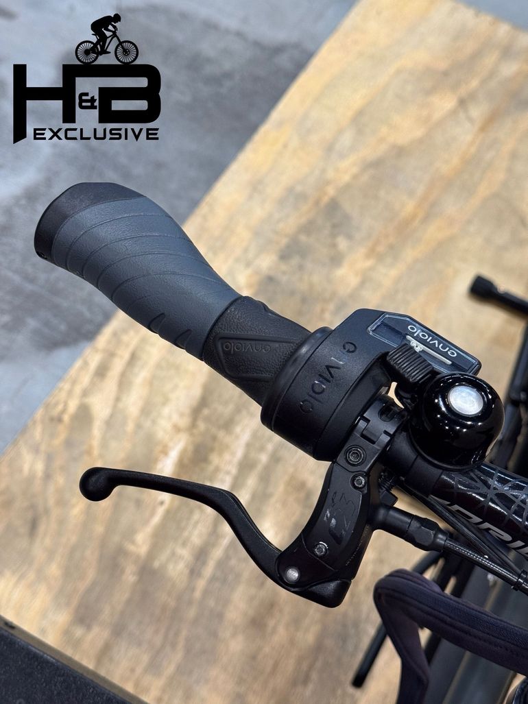 Used Riese & Müller Load4 75 Vario Enviolo 2024 Urban — image 6 of 17