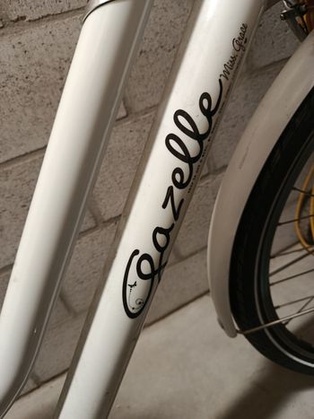 Used Gazelle Miss Grace 2020 Youth — image 4 of 7