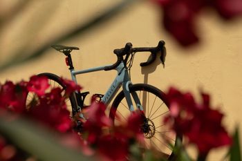 Used Wilier Cento1 Hybrid SHIMANO ULTEGRA 8020 2020 2020 Road & Gravel, Blau — image 19 of 19