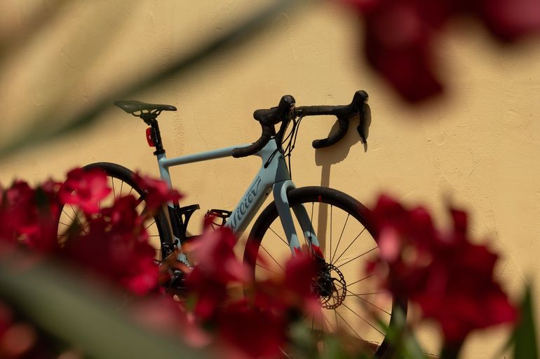 Used Wilier Cento1 Hybrid SHIMANO ULTEGRA 8020 2020 2020 Road & Gravel, Blau — image 19 of 19