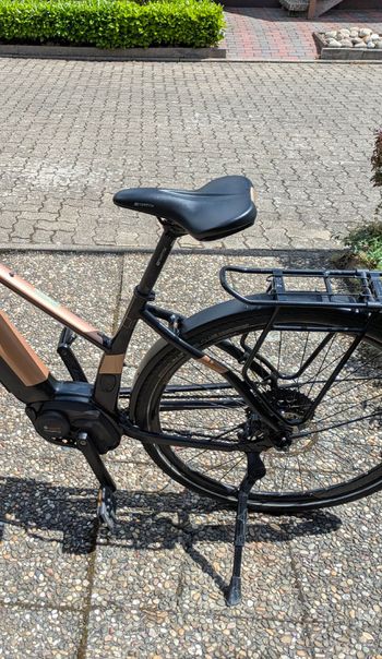 Used Morrison Morrison Custom 2019 Urban — image 2 of 11