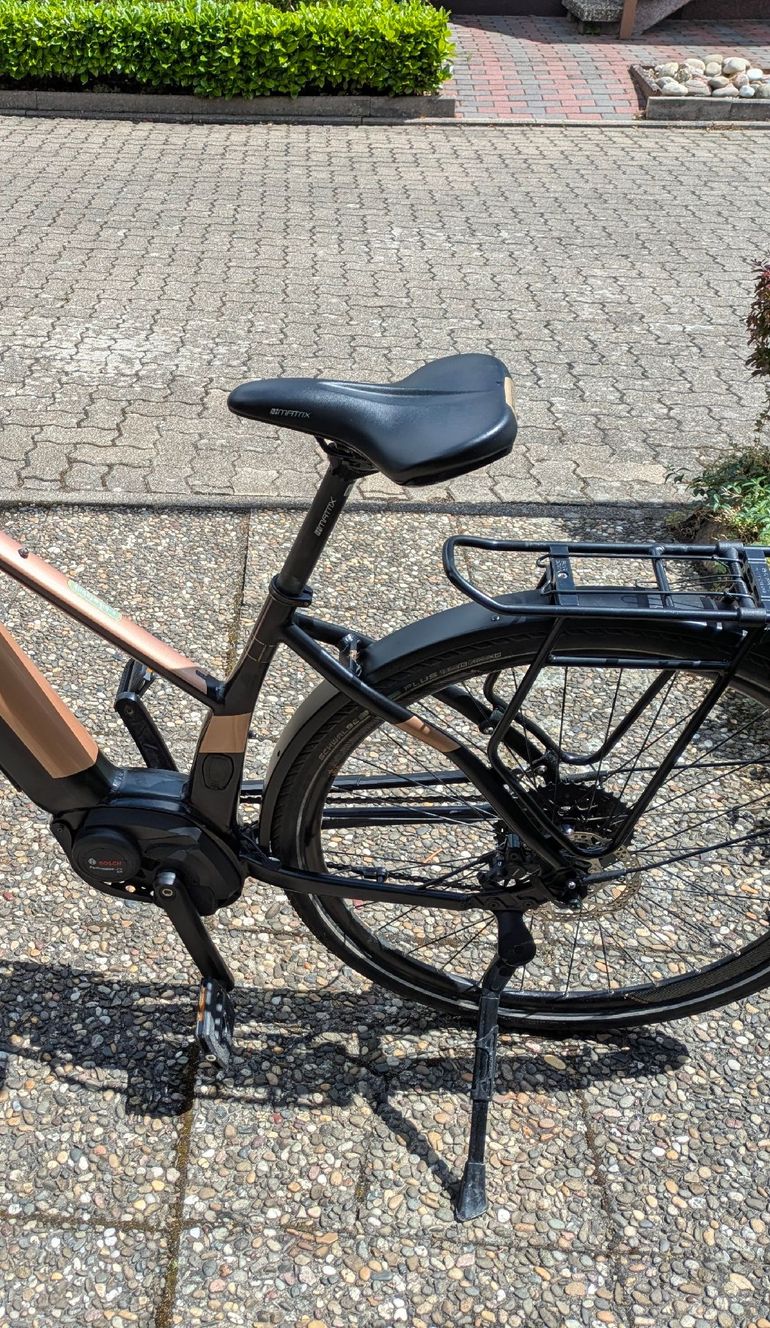 Used Morrison Morrison Custom 2019 Urban — image 2 of 11