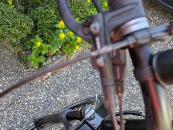 Used Morrison Morrison Custom 2019 Urban — image 10 of 11