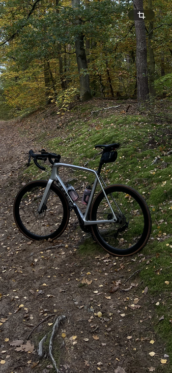 Used Trek Émonda SL 5 Disc 2021 2021 Road & Gravel, Light Gray — image 5 of 8