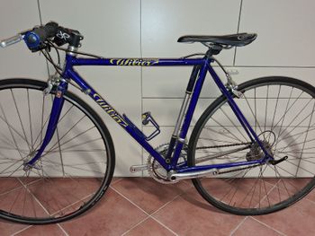 Used Wilier Wilier Custom Campagnolo Veloce 1990 Road & Gravel, Blue — image 2 of 6