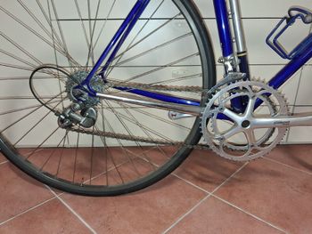 Used Wilier Wilier Custom Campagnolo Veloce 1990 Road & Gravel, Blue — image 3 of 6