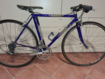 Used Wilier Wilier Custom Campagnolo Veloce 1990 Road & Gravel