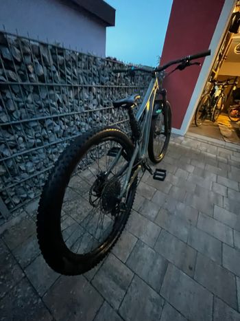 Used Specialized Specialized Stumpjumper 29“ 2019 2019 Mountainbike, Grün — image 19 of 31
