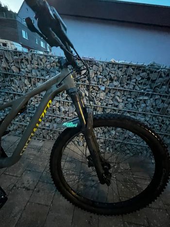 Used Specialized Specialized Stumpjumper 29“ 2019 2019 Mountainbike, Grün — image 7 of 31