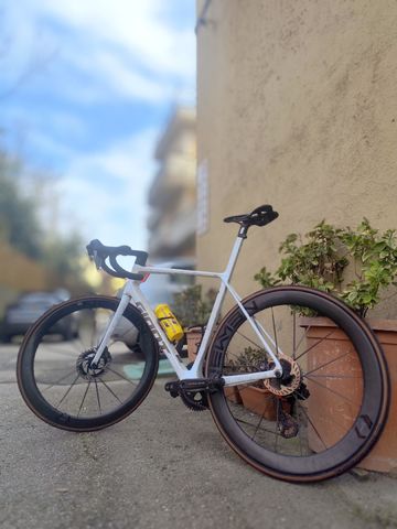 Used Giant TCR Advanced SL Frameset 2025 Frameset 2025 Road & Gravel, White — image 3 of 5