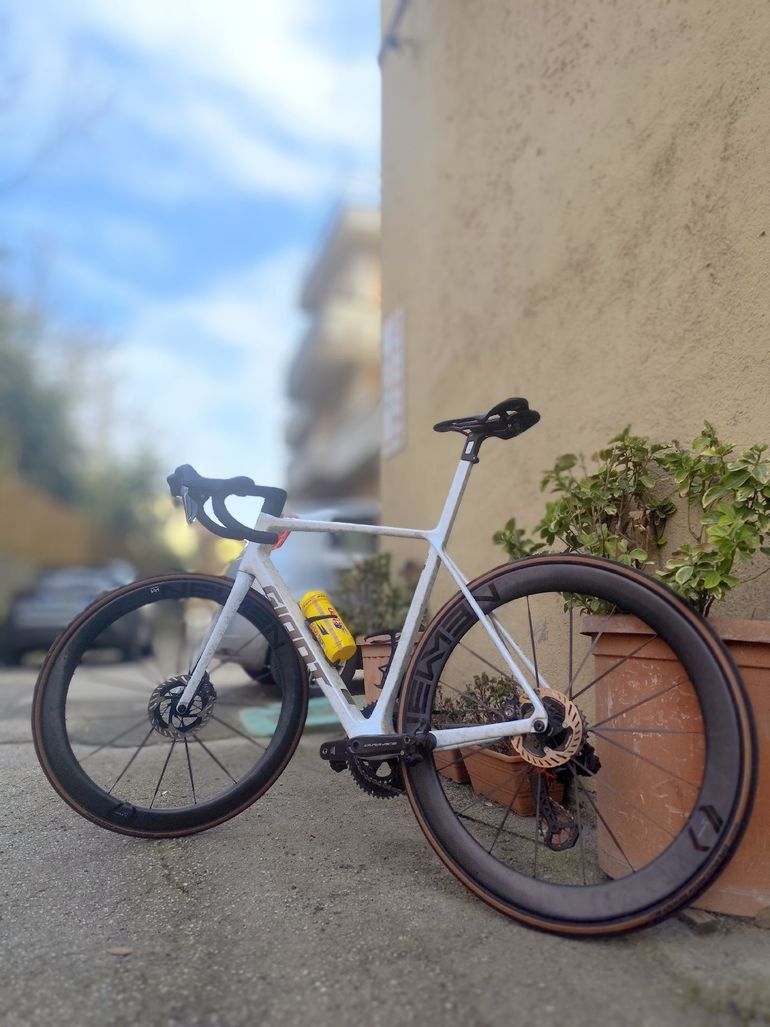 Used Giant TCR Advanced SL Frameset 2025 Frameset 2025 Road & Gravel, Weiß — image 3 of 5