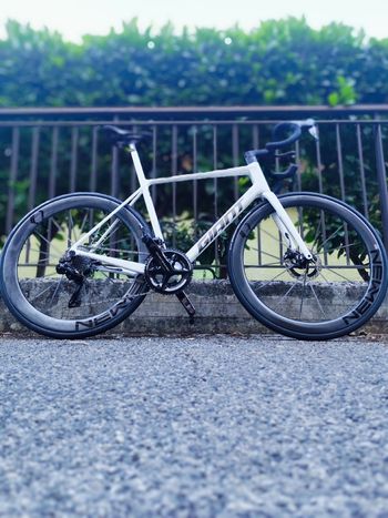 Used Giant TCR Advanced SL Frameset 2025 Frameset 2025 Road & Gravel, Weiß — image 5 of 5
