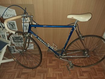 Used saronni Saronni Altus LT 1980 1980 Road & Gravel, Blue — image 5 of 5