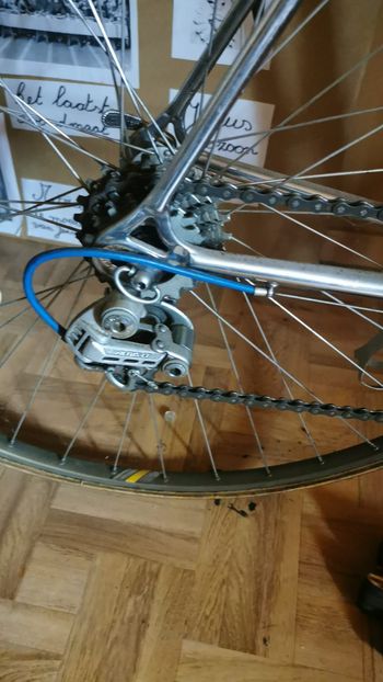 Used saronni Saronni Altus LT 1980 1980 Road & Gravel, Blue — image 3 of 5