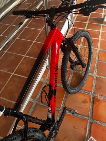 Used Cannondale Scalpel Carbon 2 2021 2021 Mountainbike, Red, 29 — image 7 of 7