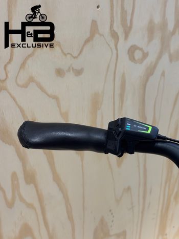 Used Riese & Müller Swing4 Silent Shimano Nexus 2024 Urban, Green — image 8 of 12
