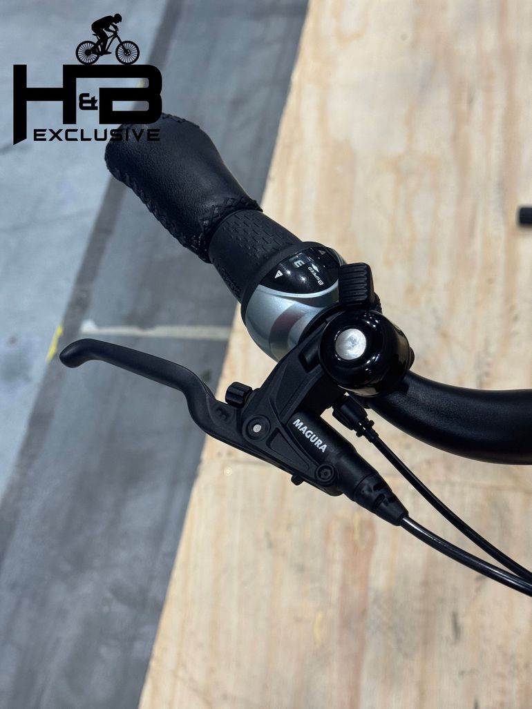 Used Riese & Müller Swing4 Silent Shimano Nexus 2024 Urban, Green — image 6 of 12