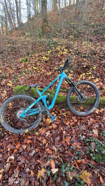 Used CUBE STEREO 150 C:62, TM 29 2023 2023 Mountainbike, Blue, 29 — image 5 of 5