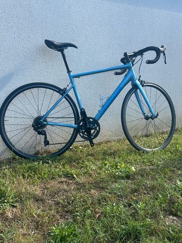 Used Cannondale CAAD Optimo 1 2025 2025 Road & Gravel, Blue — image 1 of 8