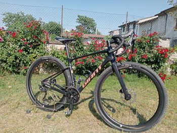 Used Giant Revolt Advanced 3 2022 2022 Road & Gravel