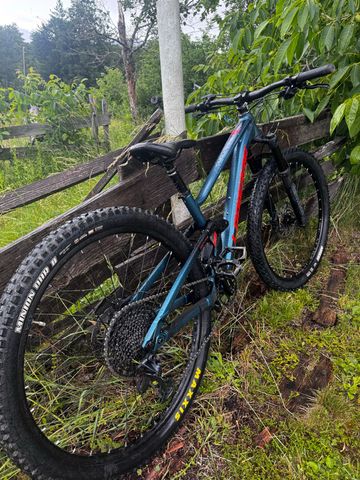 Used Lapierre Zesty TR 4.9 2022 2022 Mountainbike, Blue, 29 — image 7 of 8