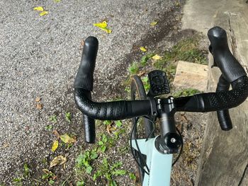 Used Cannondale Synapse Cannondale Synapse Custom Shimano Ultegra 2022 Road & Gravel, Green — image 14 of 25