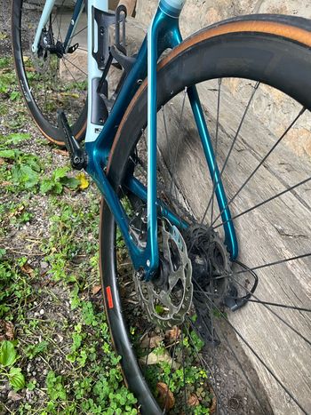 Used Cannondale Synapse Cannondale Synapse Custom Shimano Ultegra 2022 Road & Gravel, Green — image 16 of 25