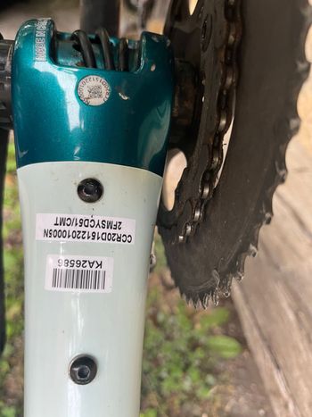 Used Cannondale Synapse Cannondale Synapse Custom Shimano Ultegra 2022 Road & Gravel, Green — image 15 of 25