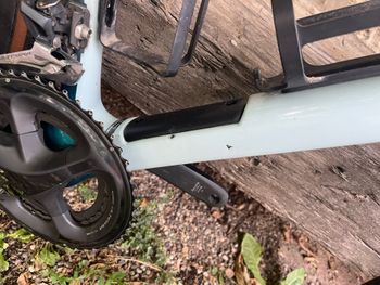 Used Cannondale Synapse Cannondale Synapse Custom Shimano Ultegra 2022 Road & Gravel, Green — image 21 of 25