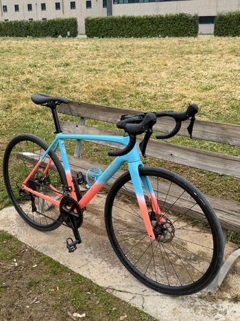 Used Trek Émonda ALR 5 2024 2024 Road & Gravel, Blue — image 10 of 10