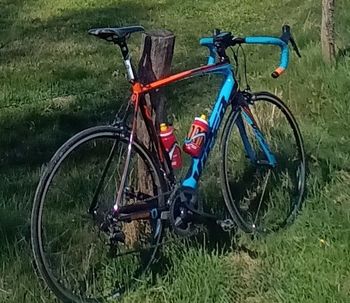 Used Viper Viper Verbier 2016 Road & Gravel, Orange — image 3 of 3