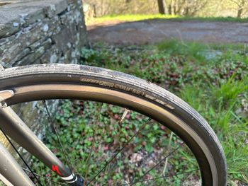 Gebrauchtes Specialized Men's Tarmac Comp 2018 2018 Road & Gravel, Schwarz,  — Bild 4 von 7
