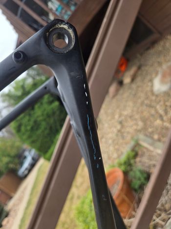 Used Salsa Warbird Carbon Tiagra 2019 2019 Road & Gravel, Black — image 5 of 10