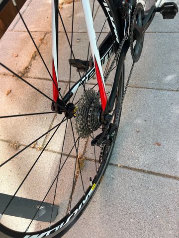 Used Massi Team 2019 Road & Gravel, Black — image 3 of 5