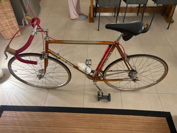 Used Wilier Superleggera Campagnolo Record 1974 Road & Gravel — image 15 of 21
