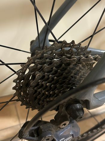 Used Massi Team Carbon 2019 2019 Road & Gravel — image 6 of 9