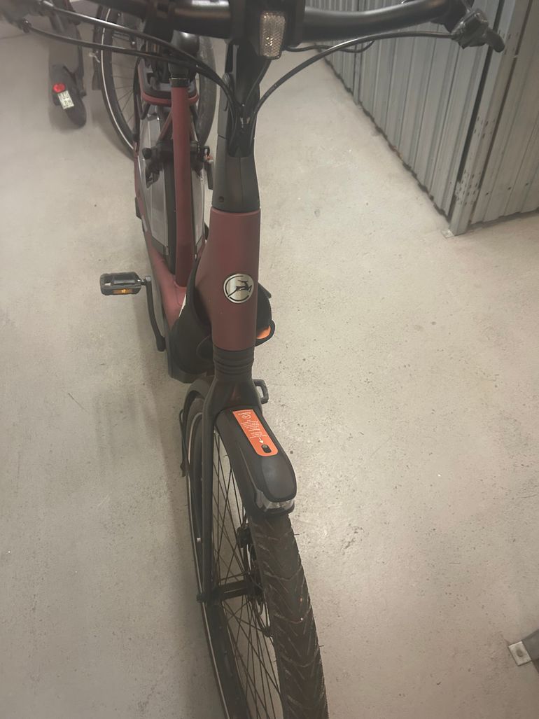 Used Gazelle Avignon C5 HMB Low-Step 2024 2024 Urban, Rot — image 5 of 7