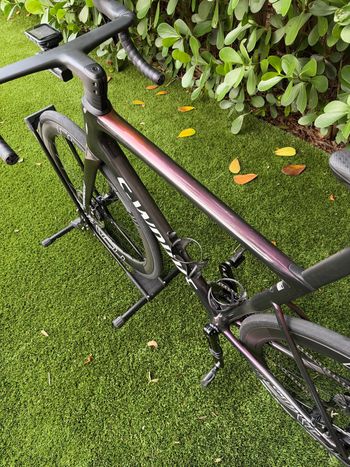 Used Specialized S-Works Tarmac SL8 - Shimano Dura-Ace Di2 2024 2024 Road & Gravel, Red — image 3 of 10