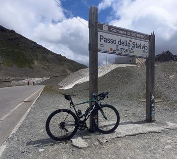 Used Fuji SL Team Replica 2018 2018 Road & Gravel, Grün — image 8 of 9
