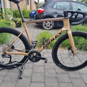 Used Ridley Custom Falcn 2025 Road & Gravel, Black — image 3 of 4