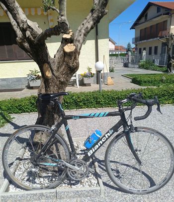 Used Bianchi Nirone Shimano Sora 2012 Road & Gravel — image 3 of 5